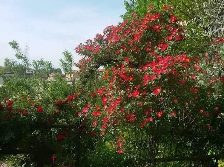 민박 Il Bosco Delle Torte