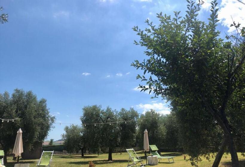 مبيت وإفطار Pensione Degli Ulivi