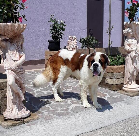 مبيت وإفطار Pensione Degli Ulivi