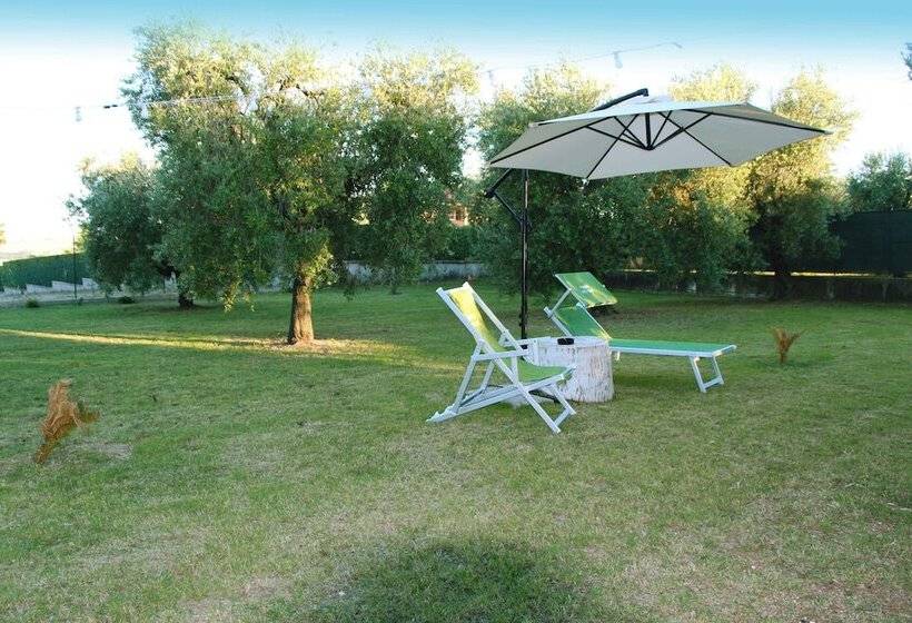 مبيت وإفطار Pensione Degli Ulivi