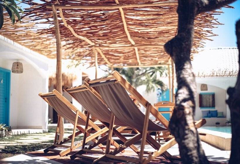 تختخواب و صبحانه The Koho Air