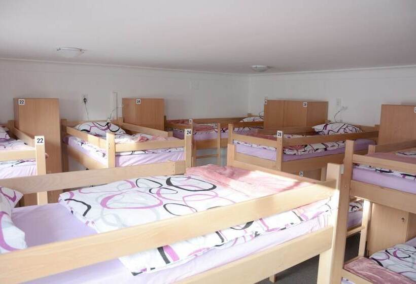 Hostel Vortex