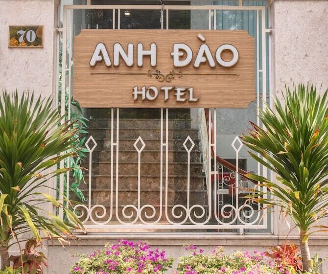 هتل Anh Dao