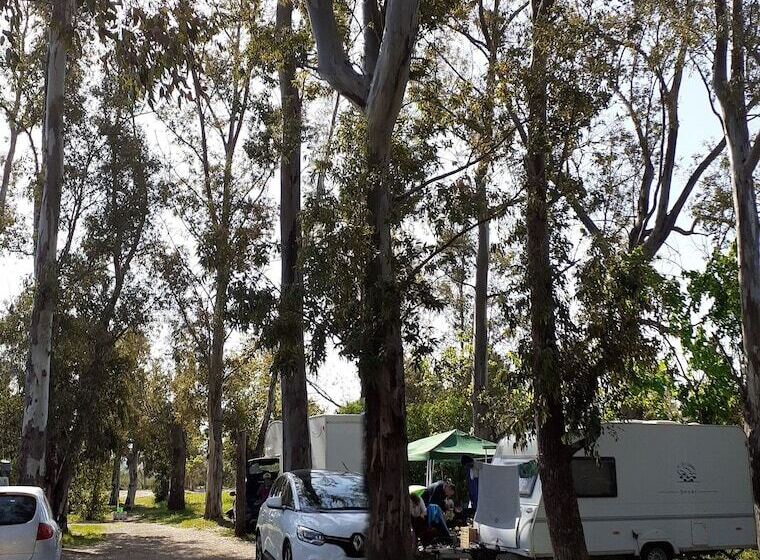 בית מלון כפרי Camping La Naranja