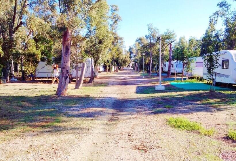 בית מלון כפרי Camping La Naranja