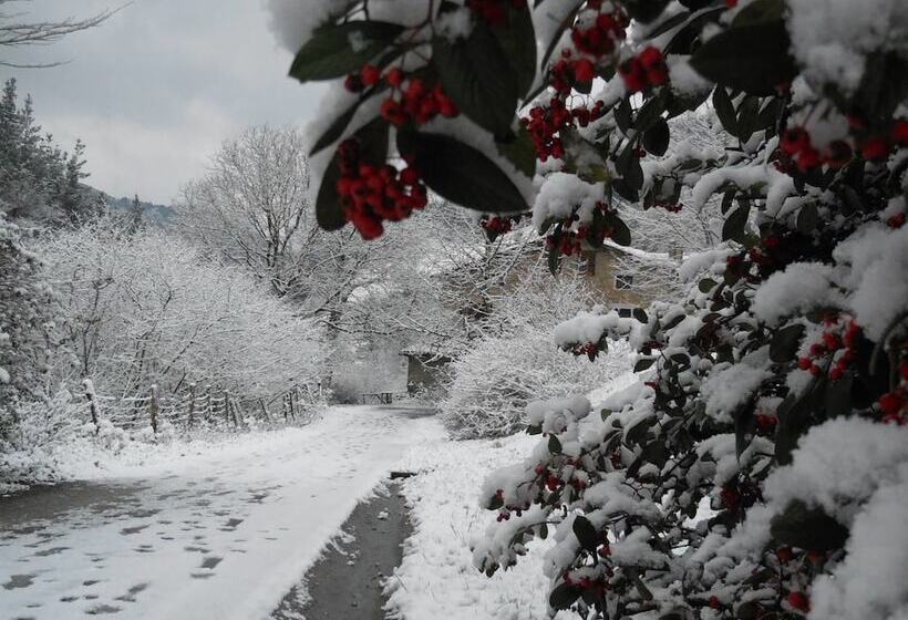 فندق ريفى Casa Rural Goikola