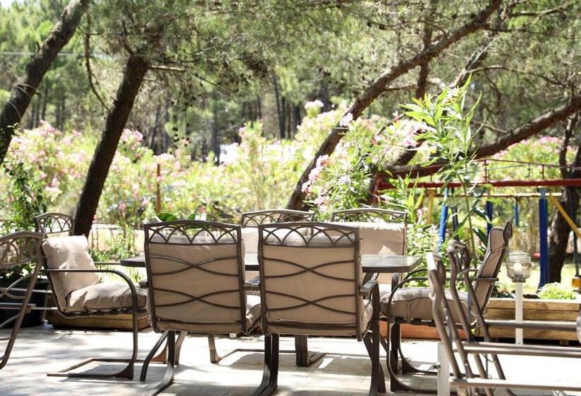 Отель Velipoja Grand Europa Resort, Affiliated By Melia