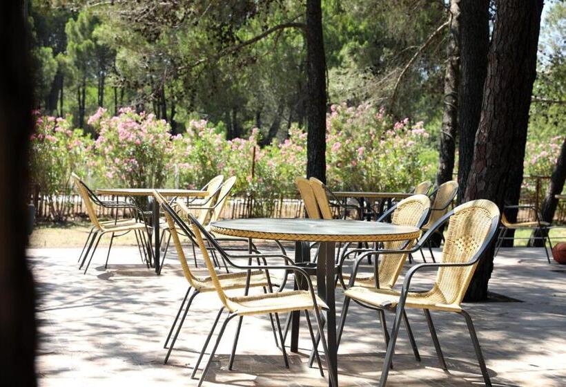 Отель Velipoja Grand Europa Resort, Affiliated By Melia