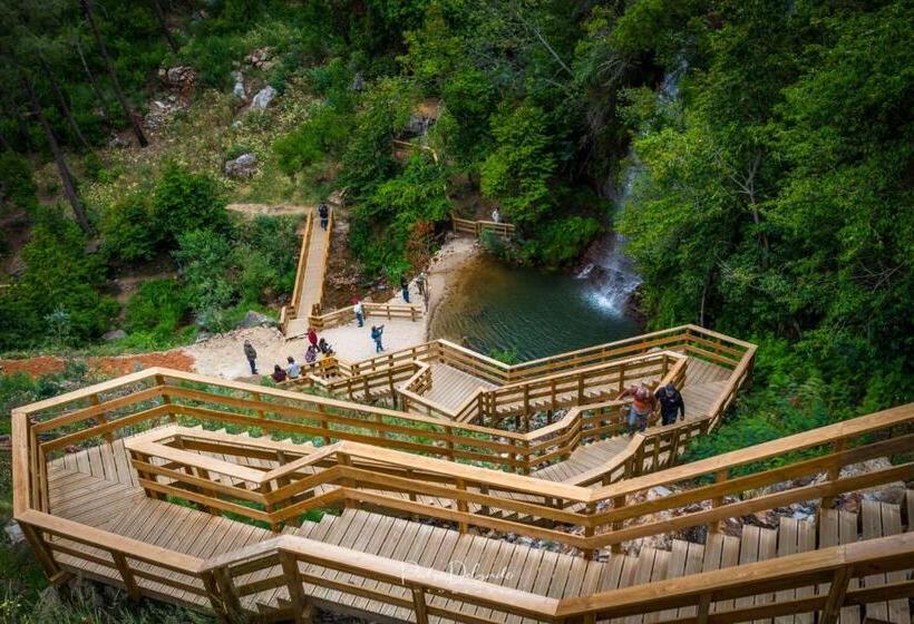 ペンション Casa Do Silverio   Barroca