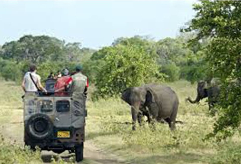 펜션 De Perla Resort