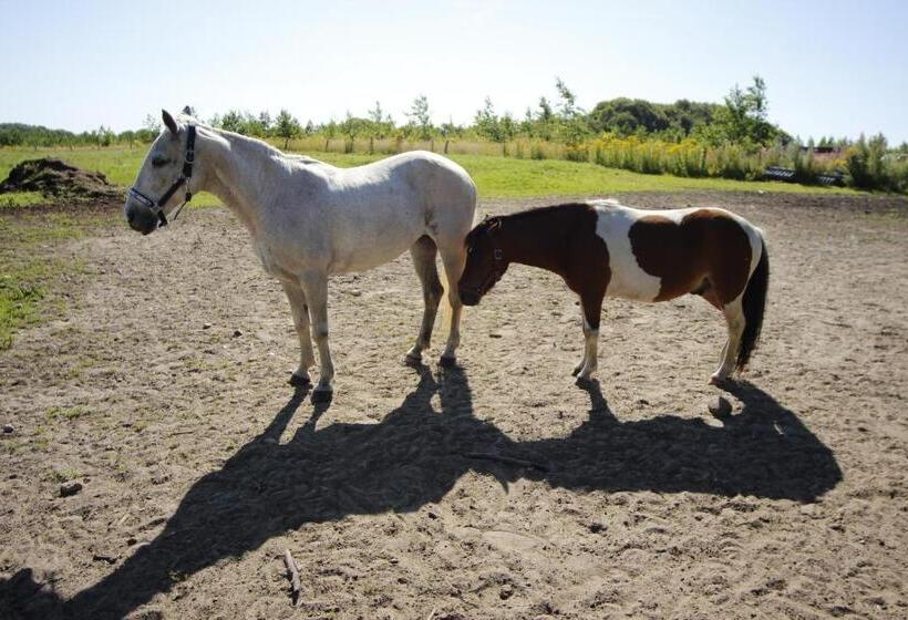 Stutteri Skandihest Apartments