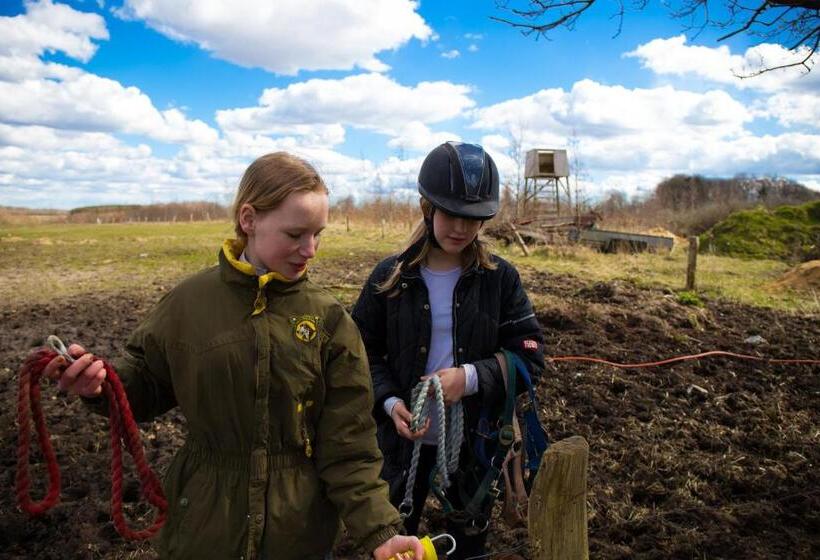 Stutteri Skandihest Apartments
