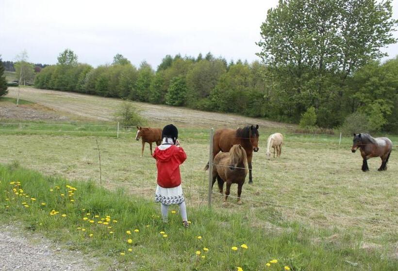 Stutteri Skandihest Apartments
