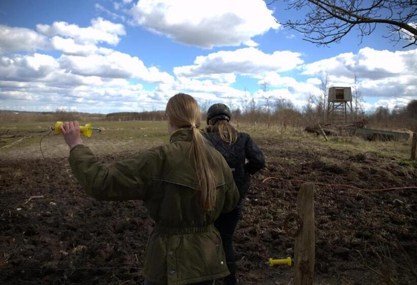 Stutteri Skandihest Apartments