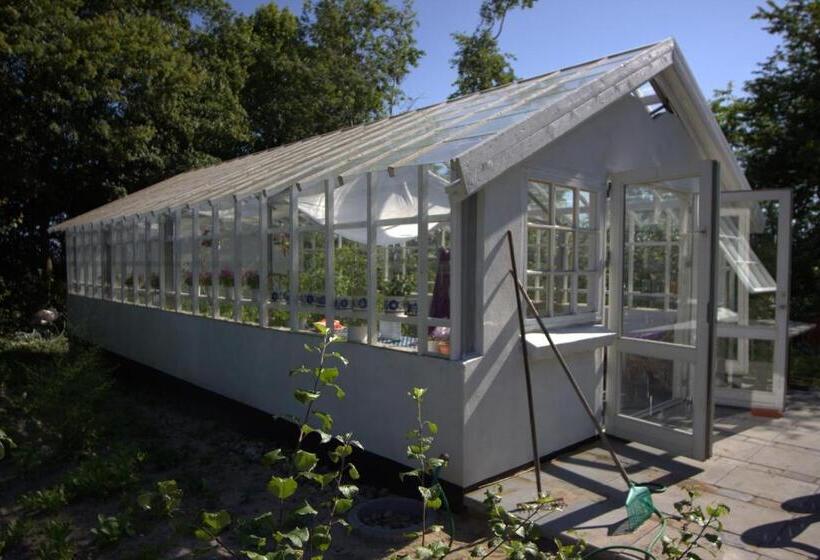 Stutteri Skandihest Apartments