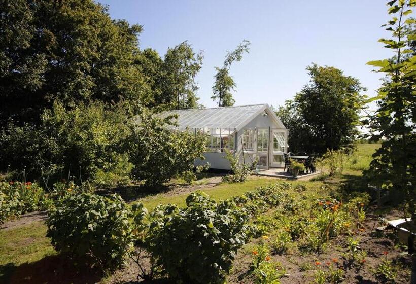 Stutteri Skandihest Apartments