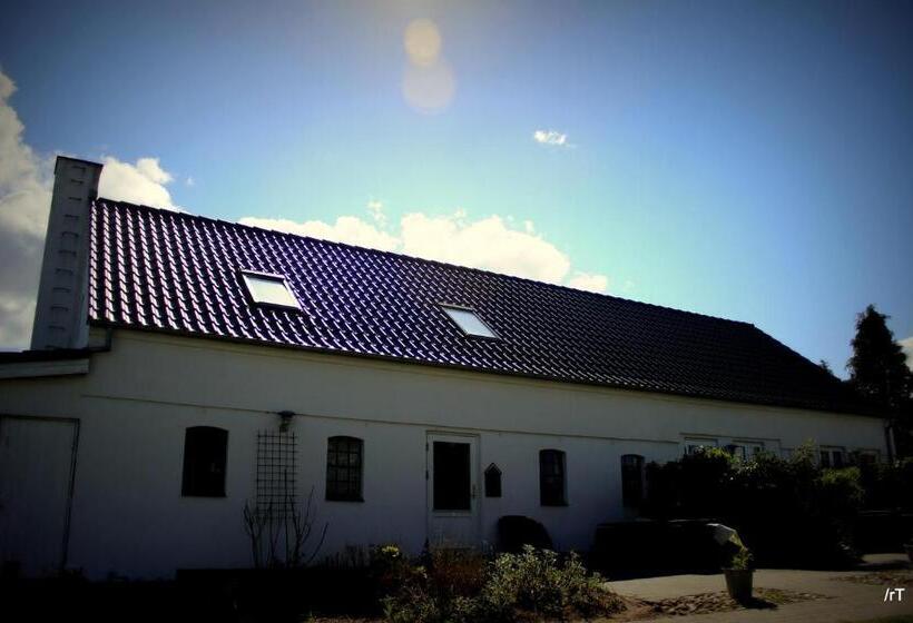 Stutteri Skandihest Apartments