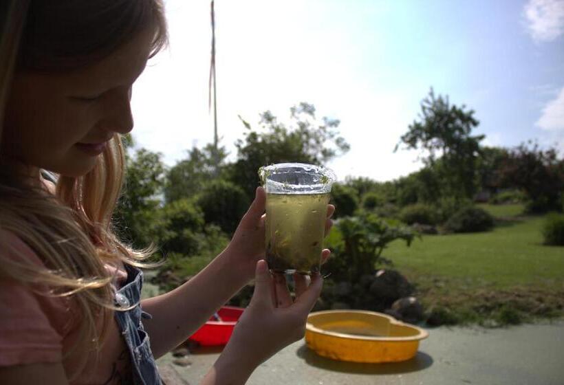 Stutteri Skandihest Apartments