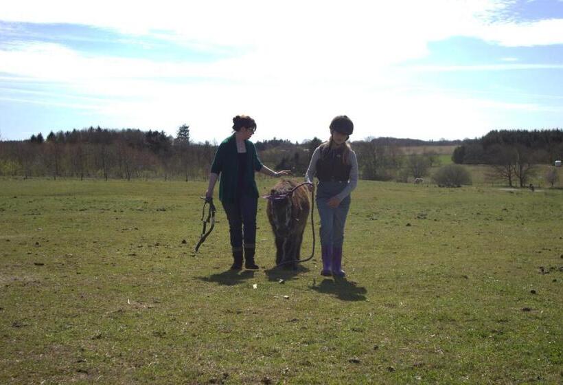 Stutteri Skandihest Apartments