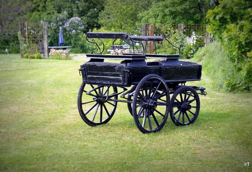 Stutteri Skandihest Apartments