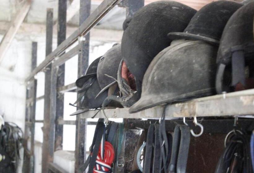 Stutteri Skandihest Apartments