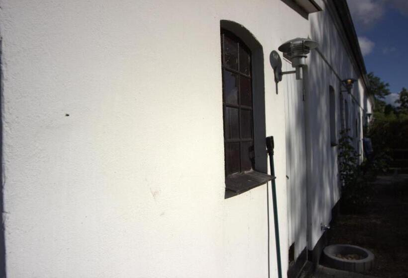 Stutteri Skandihest Apartments