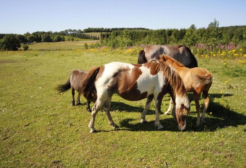 Stutteri Skandihest Apartments