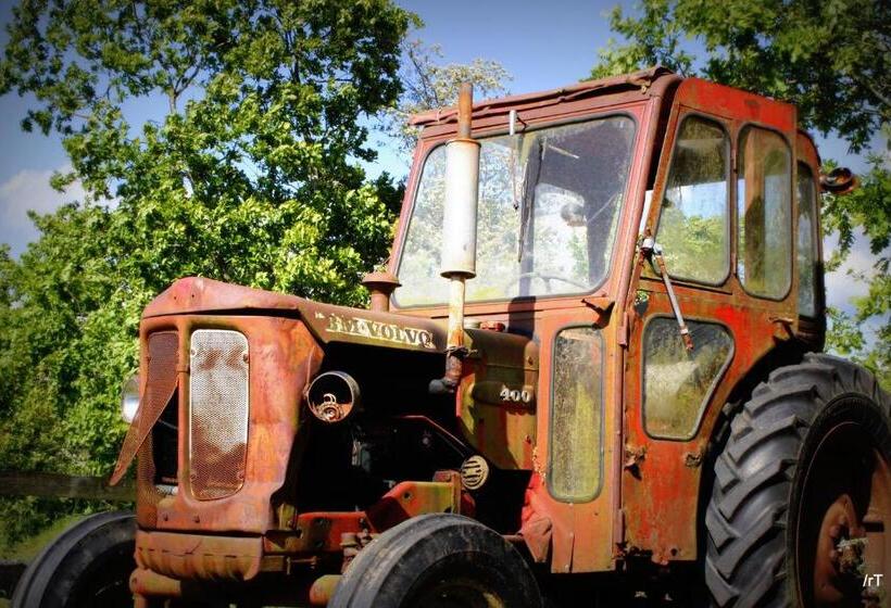 Stutteri Skandihest Apartments