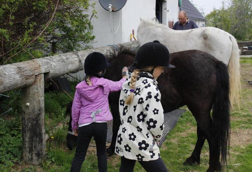 Stutteri Skandihest Apartments