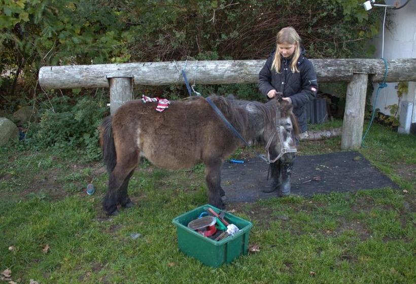Stutteri Skandihest Apartments