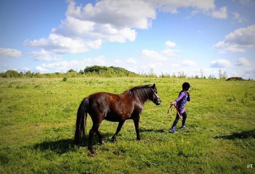 Stutteri Skandihest Apartments
