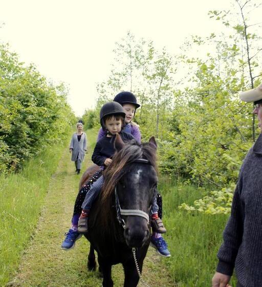 Stutteri Skandihest Apartments