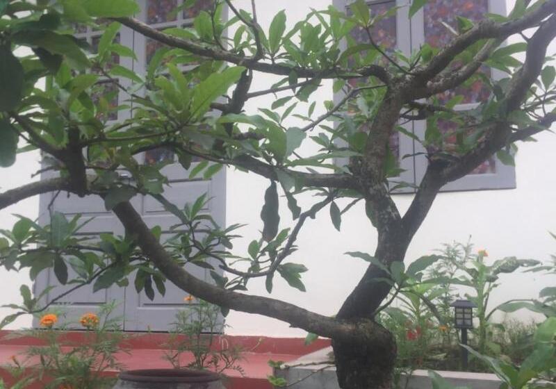 هاستل Ninh Binh Village 1990 Homestay