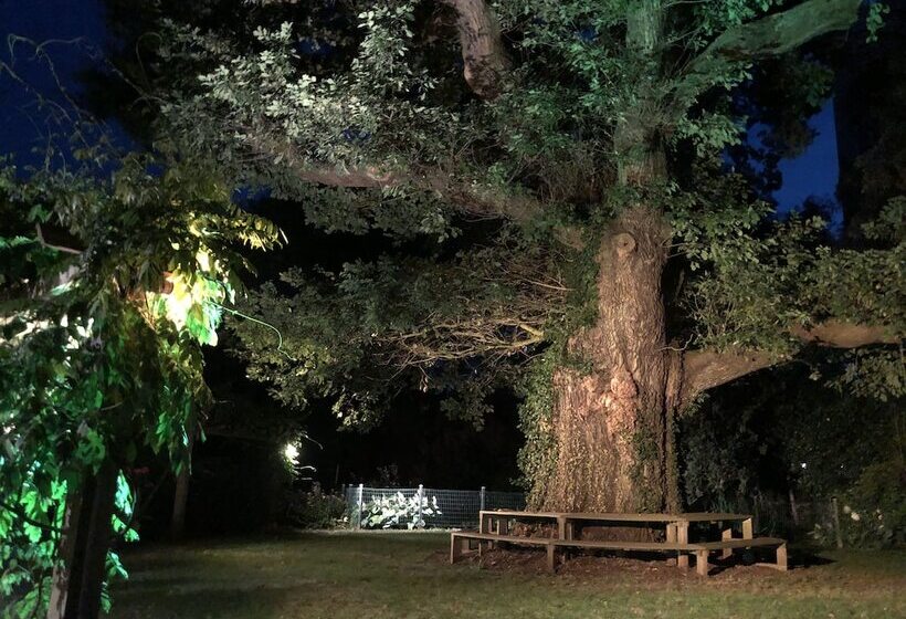 ベッドアンドブレックファースト Guesthouse Villa De Eikhof