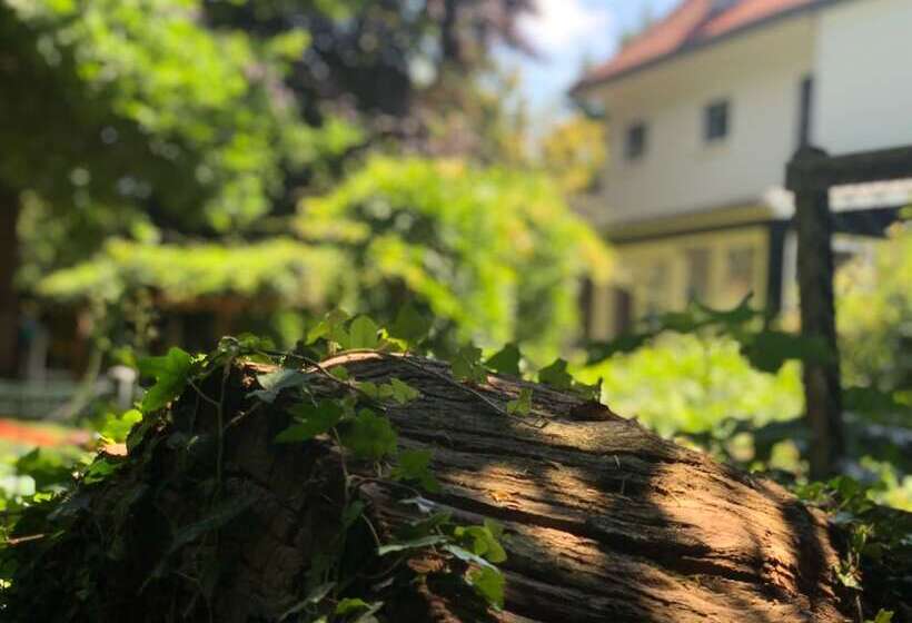 ベッドアンドブレックファースト Guesthouse Villa De Eikhof