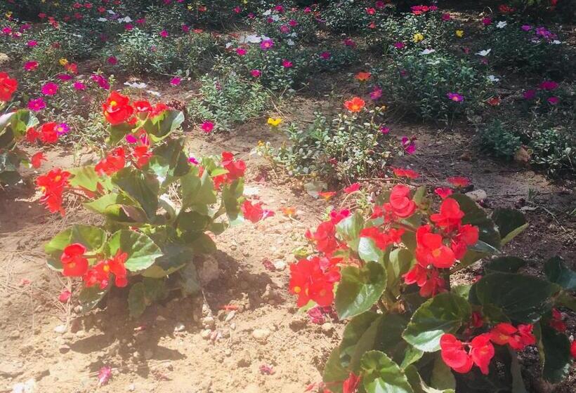 צימר La Casa Di Nonno Giulio