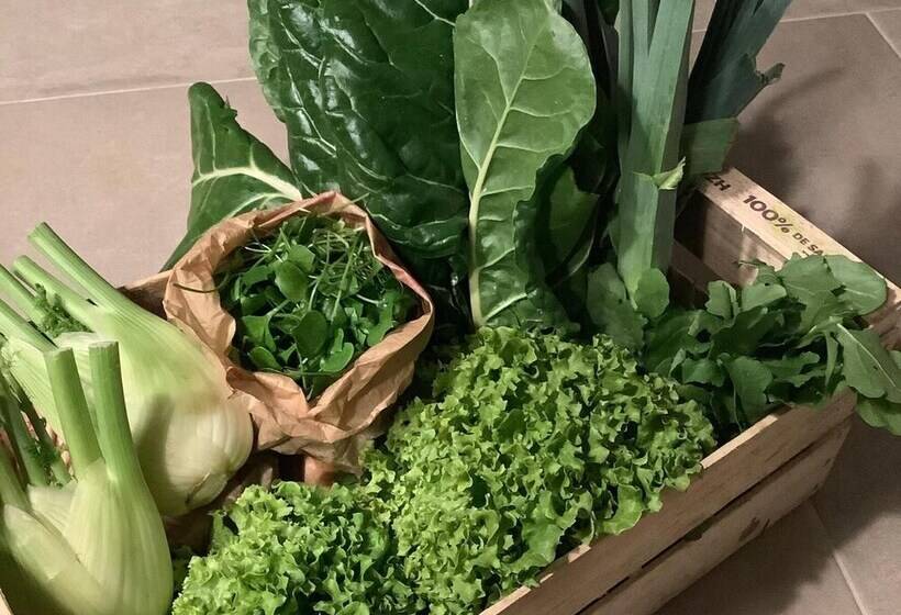 Bed and Breakfast Le Grenier Occitan