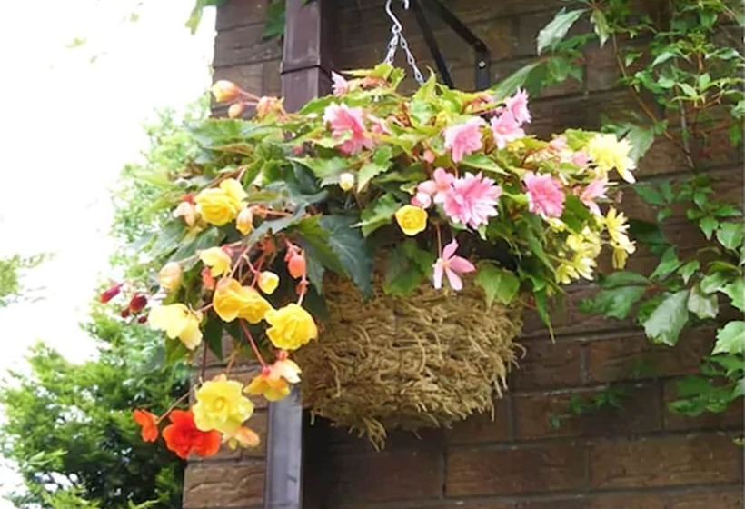 Down Royal House B&b