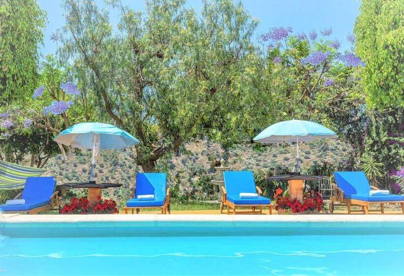 Hacienda Sol Trapiche