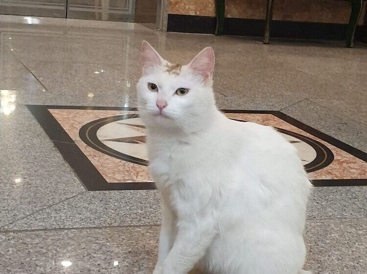 Haedoji Hotel Yangyang