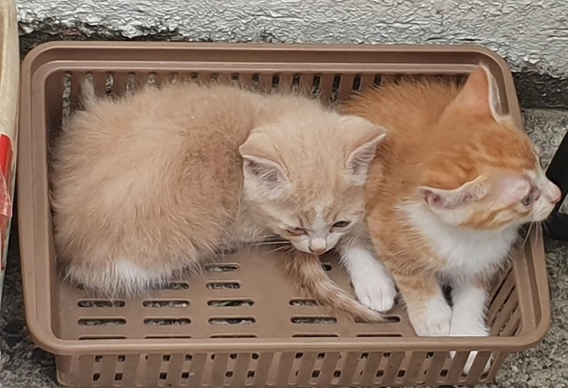 Haedoji Hotel Yangyang