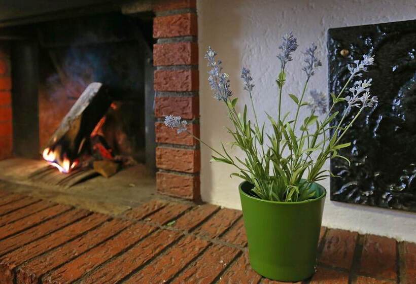 فندق فئة نجمة واحدة Landgasthaus Zur Linde