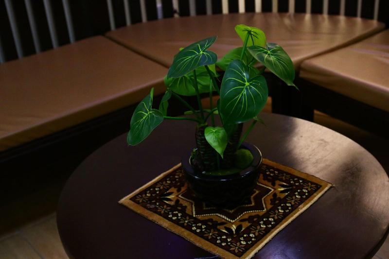 هتل Brownwood Resort &