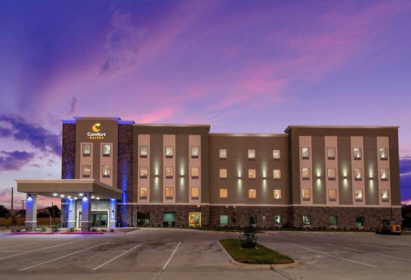 ホテル Comfort Suites Desoto Dallas South