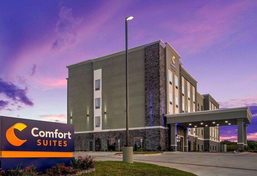 ホテル Comfort Suites Desoto Dallas South