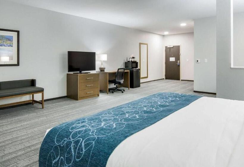 ホテル Comfort Suites Desoto Dallas South