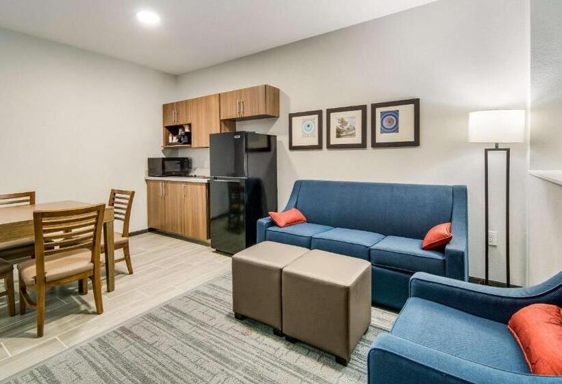 ホテル Comfort Suites Desoto Dallas South