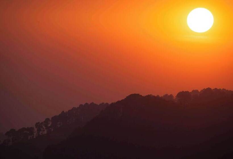 هتل Hyatt Regency Dharamshala Resort