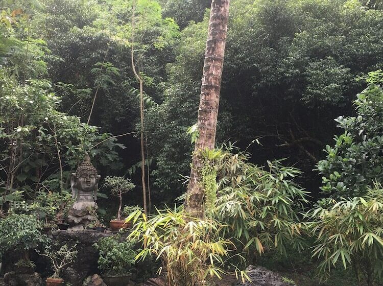 酒店 Kahanamoku Bed & Breakfast