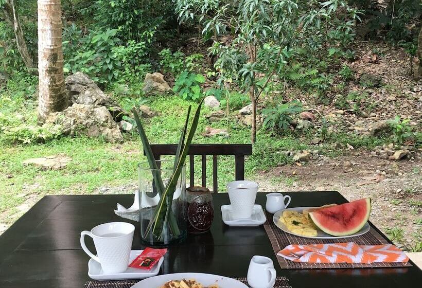 酒店 Kahanamoku Bed & Breakfast